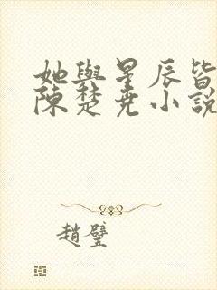 她与星辰皆璀璨陈楚尧小说