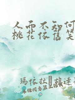 人面不知何处去桃花依旧笑春风的意思