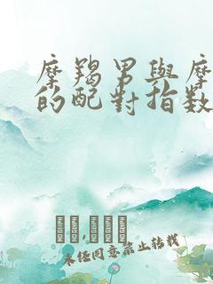 摩羯男与摩羯女的配对指数