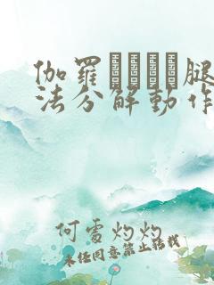 伽罗あちゃん腿法分解动作