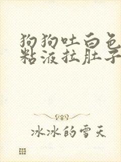 狗狗吐白色泡沫粘液拉肚子