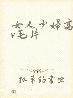 女人少妇高潮av毛片