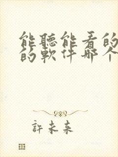 能听能看的小说的软件哪个最好