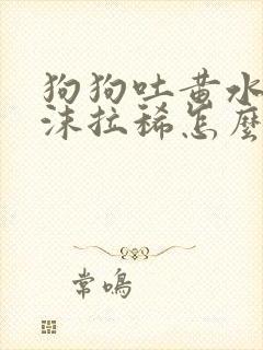 狗狗吐黄水带泡沫拉稀怎么办