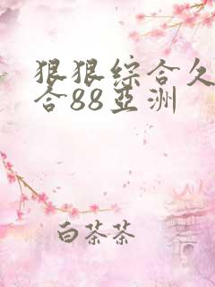 狠狠综合久久综合88亚洲