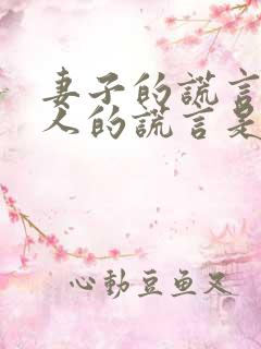 妻子的谎言和爱人的谎言是同一部电视剧吗