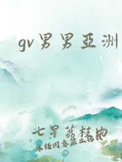 gv男男亚洲