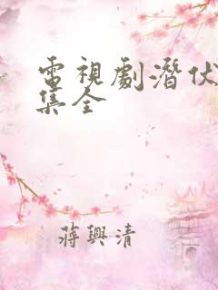 电视剧潜伏三十集全