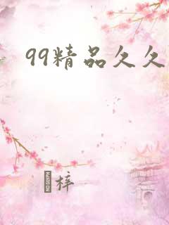 99精品久久久