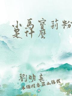 小马宝莉粉毛毛是什么