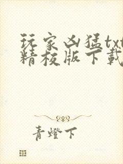 玩家凶猛txt精校版下载