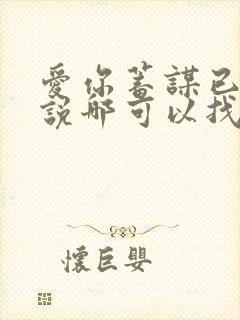 爱你蓄谋已久小说哪可以找到