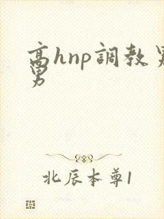 高hnp调教男男