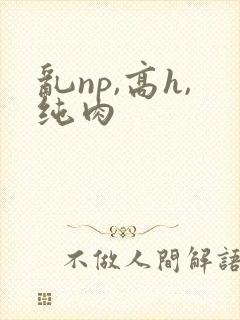 乱np,高h,纯肉