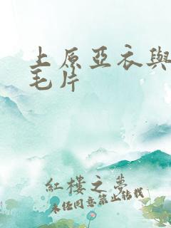 上原亚衣与黑人毛片