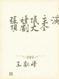 张婧仪主演的电视剧大全