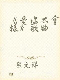 《爱你不会怎么样》歌曲