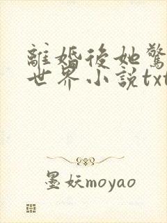 离婚后她惊艳了世界小说txt