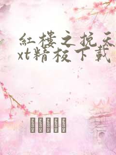 红楼之挽天倾txt精校下载