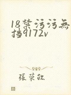 18禁污污无遮挡9172v