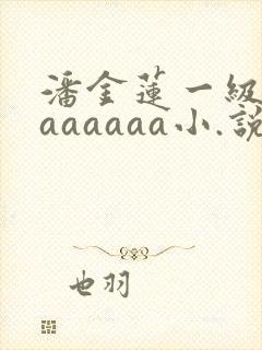 潘金莲一级淫片aaaaaa小.说