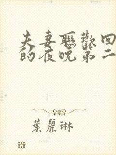 夫妻联欢回不去的夜晚第二季