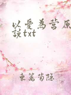 以爱为营原著小说txt