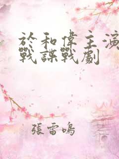 于和伟主演的抗战谍战剧