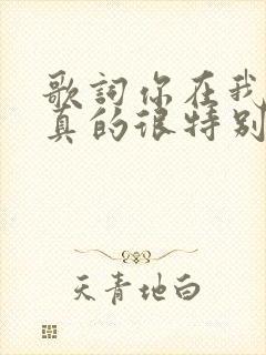 歌词你在我眼中真的很特别