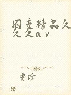 国产精品久久久久久aⅴ