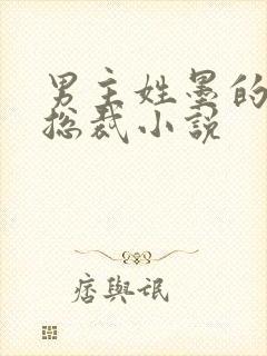 男主姓墨的霸道总裁小说