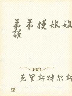 弟弟摸姐姐胸小说