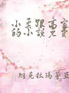 小柔跟高家父子的小说免费阅读全文
