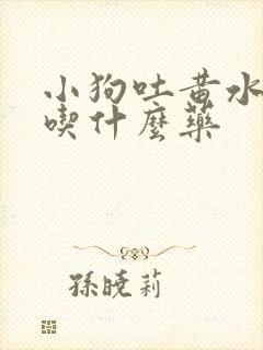 小狗吐黄水拉稀吃什么药