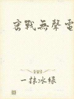 密战无声电视剧