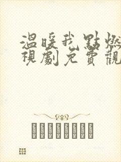 温暖我点燃你电视剧免费观看23