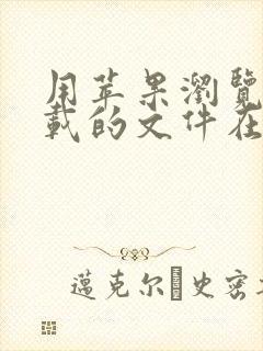 用苹果浏览器下载的文件在哪打开