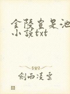 金陵岂是池中物小说txt
