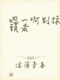 嗯～啊别揉我奶头黄