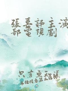 张嘉译主演的全部电视剧