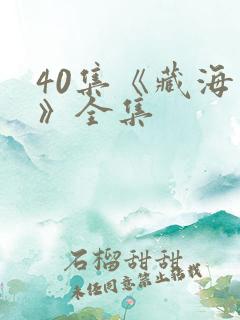 40集《藏海传》全集