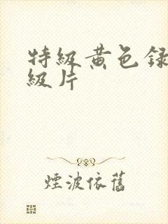 特级黄色录像一级片