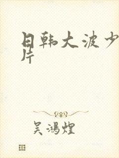 日韩大波少妇毛片