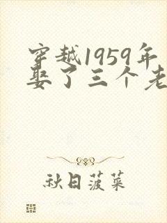 穿越1959年娶了三个老婆的小说