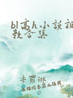 bl高h小说调教合集