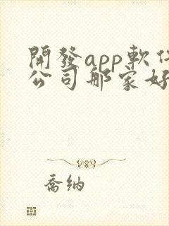 开发app软件公司那家好