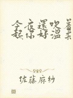 今夜还吹着风想起你好温柔是什么歌