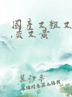 国产又粗又猛又,爽又黄