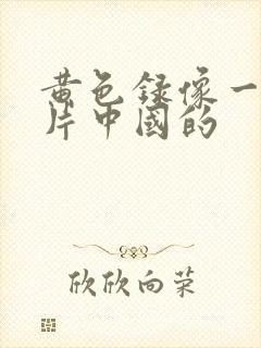 黄色录像一级大片中国的