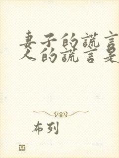 妻子的谎言和爱人的谎言是同一部电视剧吗